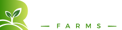 logohomes